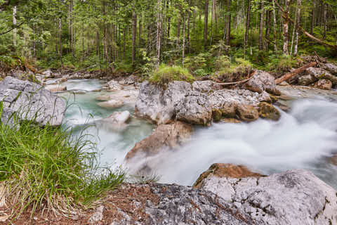 Gemeinde Ramsau Landkreis Berchtesgadener_Land Zauberwald am Hintersee (Dirschl Johann) Deutschland BGL